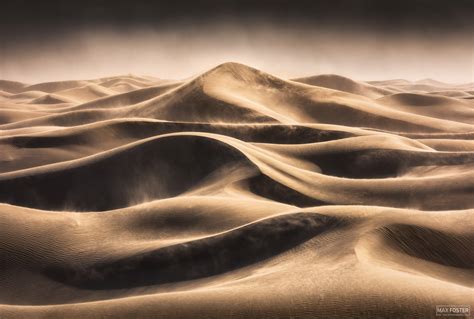 Discover the Diversity of Sand Dunes | Max Foster Photography