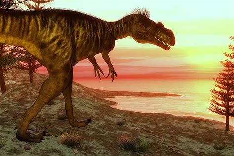 60+ Fun And Interesting Facts About Dinosaurs For Kids