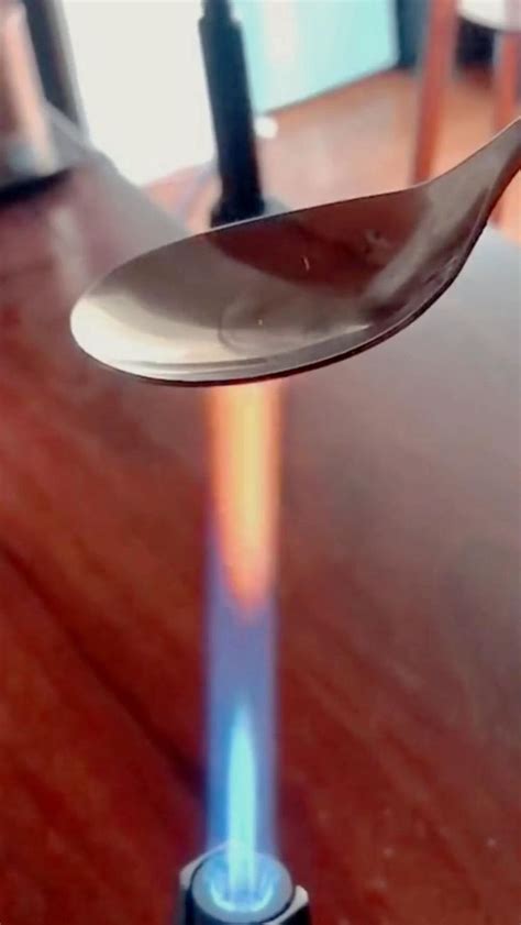 Water science experiment | Science experiments kids, Science ...