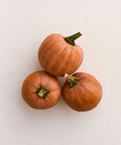 row  launches    branded vegetables reimagining flavor