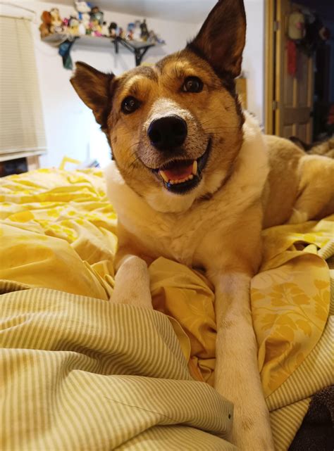 The 535 secret that residents have been keeping for years 19