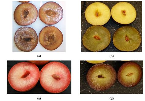 how to know if a plum is bad