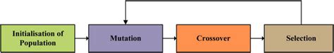main steps  differential evolution  scientific diagram