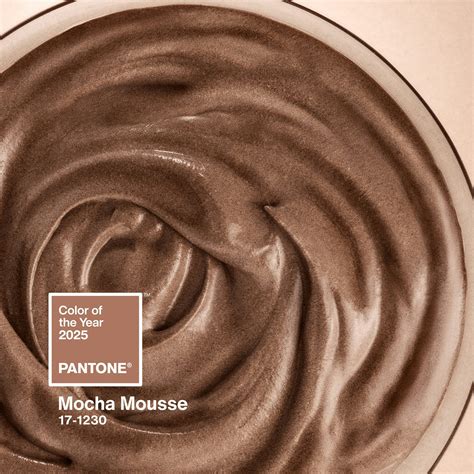 Longer lasting dyes will soon revolutionize the mocha mousse hair color 9