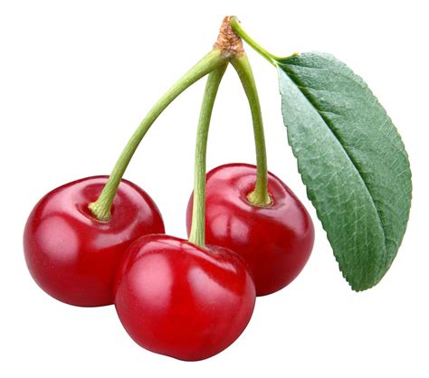 turkish cooking everyday kitchen miracles  cherry