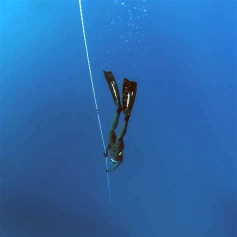 Homepage - Kaila Yu