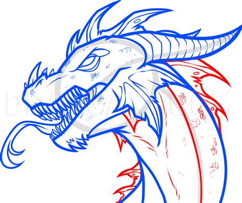 draw  easy dragon head drawing step  step  dawn dragoart
