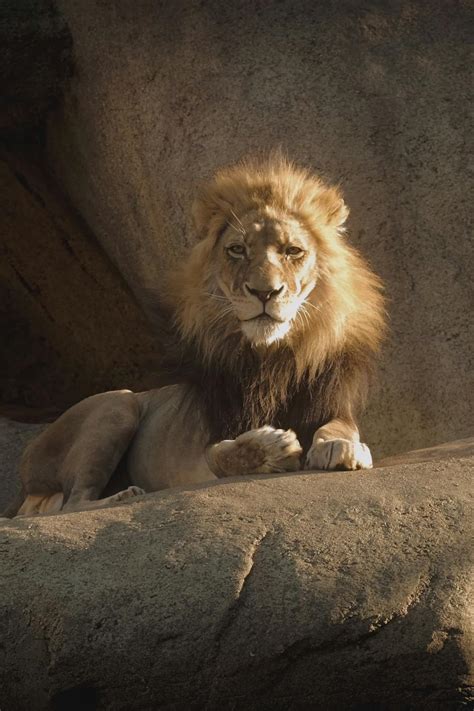 Big+Fat+Ass+Twerk Videos, Download The BEST Free 4k Stock Video Footage