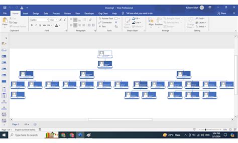 design org chart  visio linked  data  excel  orgchartpro fiverr