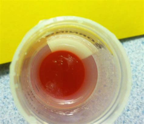 science scoop dna extraction demo lab