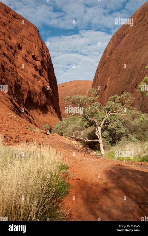 Hiking trail through Kata Tjuta (also known as 'The Olgas') in Uluru ...