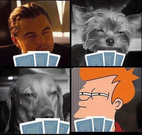 Poker face. Fry's got it : r/funny