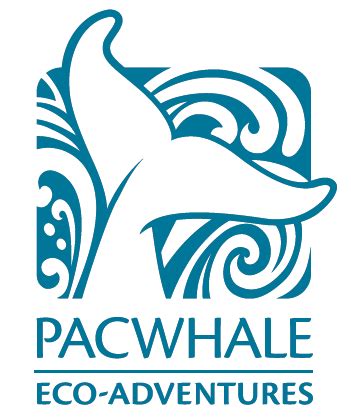 Pacific Whale Foundation - Hawaii Activities & Attractions