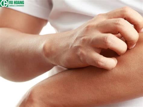 thuoc tim la gi ung dung cua thuoc tim trong thuc te cong ty tnhh