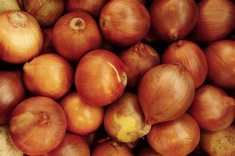 15 Best Onion Varieties to Grow at Home (with Pictures) | House Grail