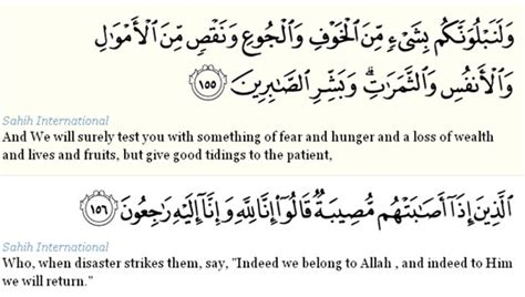 al baqarah