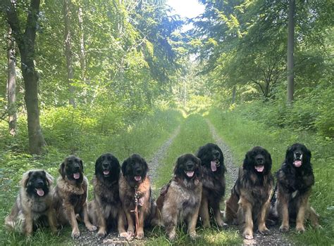 Sofie Andresén Rasmussen