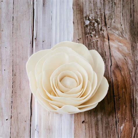 AVA FLEURS LOT DE 6 -3 POUCES - Sola and love