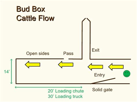 Tips for Creating Beef Cattle Handling Facilities