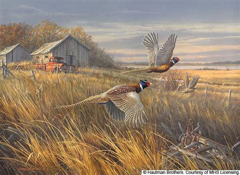 Pheasant Hunting Paintings