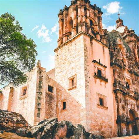 Descubre los mejores lugares para ver el paisano | SheRides