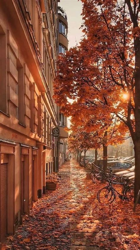 fall aesthetic / autumn vibes / orange leaves / Paris / fall travel ...
