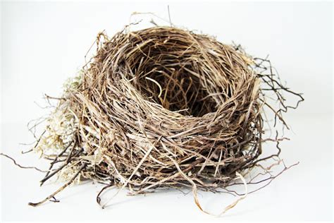 fields inspiration   nest