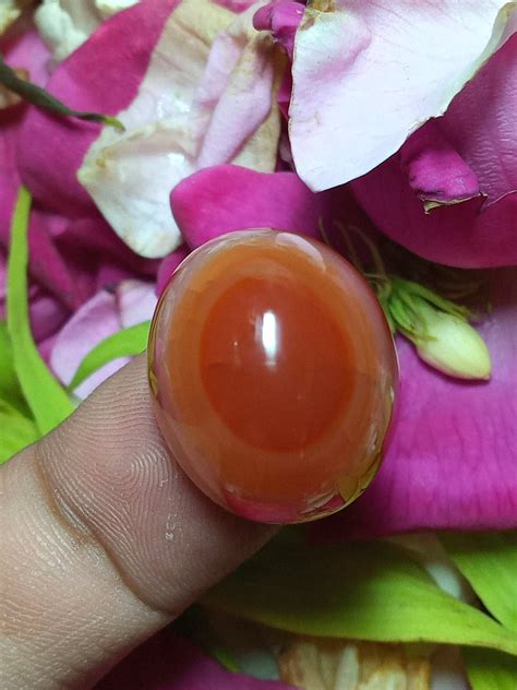 mustika pemain atlet olahraga
