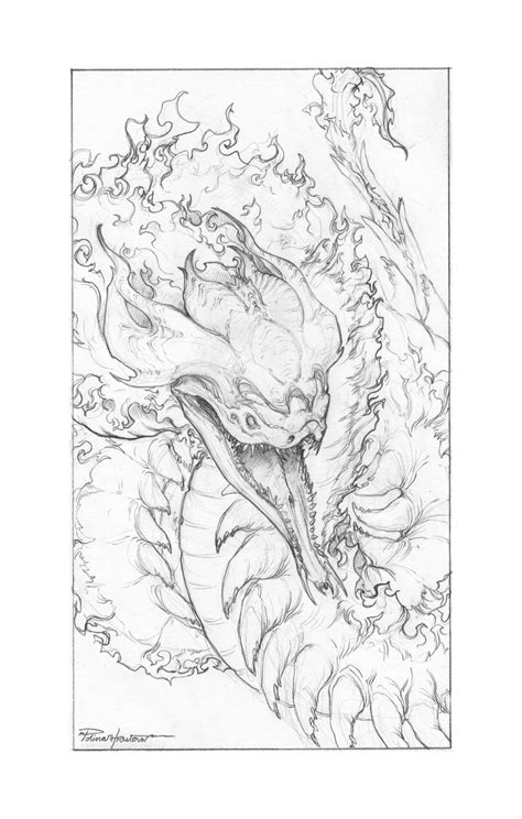 Fire Dragon Sketch at PaintingValley.com | Explore collection of Fire Dragon Sketch