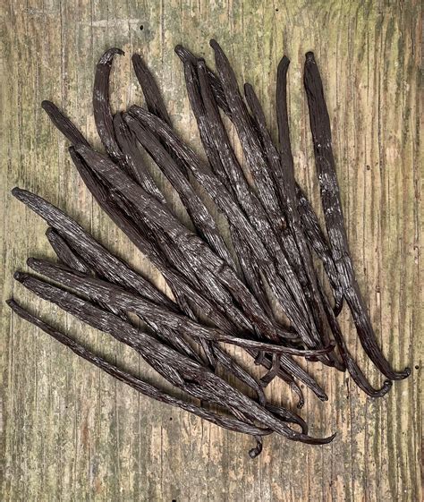 Gousse de vanille gourmet Planifolia Ouganda - Vanille des îles
