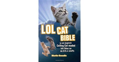 LOLcat Bible: In teh beginnin Ceiling Cat maded teh skiez An da Urfs n ...