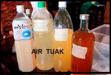 anim agro technology tuak  perlu tahu