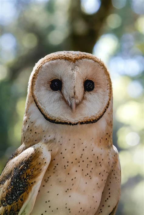 Girl+Face+Down+Ass+Up Photos, Download The BEST Free Girl+Face+Down+Ass