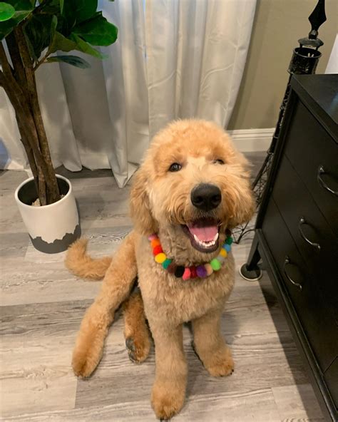 Bailey / Dallas (@bailey.dallas_) • Instagram photos and videos