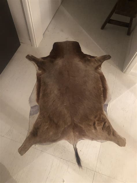 animal rwhatisthis