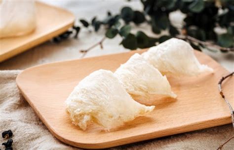 ragam khasiat sarang burung walet realfood