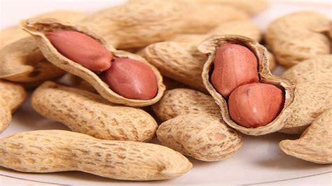 New groundnut varieties increase farmers’ yields in Tanzania | Food ...