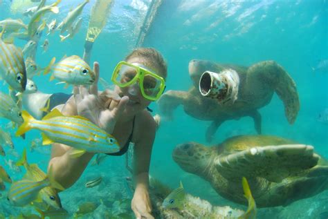 Underwater World at Sea Aquarium, Ocean Lens – Curacao Activities