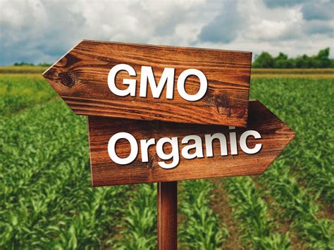 surviving   gmo world easy health options