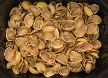 7 Surprising Uses For Pistachio Shells In The Home & Garden