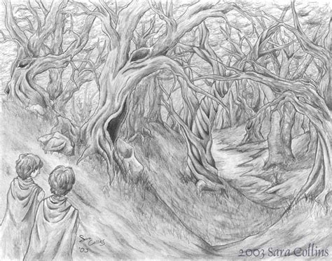 Entering Fangorn Forest by thatbloodypirate on DeviantArt