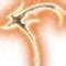 Apostle of Myrkul - bg3.wiki