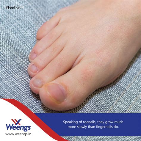 #FeetFact Did you notice how you cut your fingernails every week, and