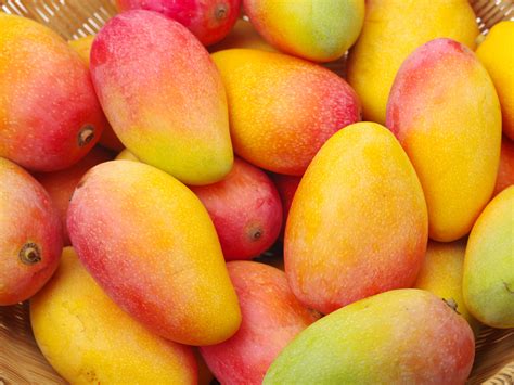 All Our Favorite Mango Recipes In One Place - Food Fanatic