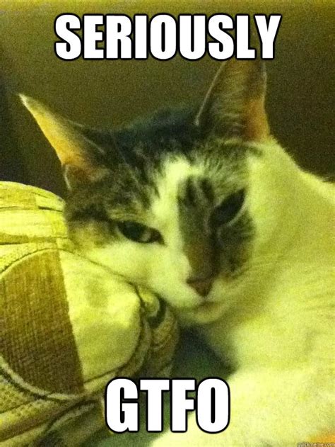 Seriously GTFO - Seriously GTFO - quickmeme