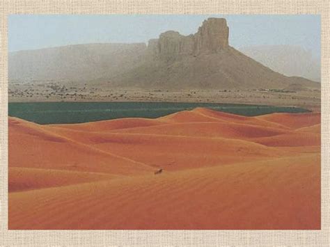 Fragile environments ecosystems starter | PPT