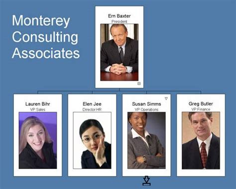 Orgchart Organizational Chart Software by OrgchartPro.com: Perfect ...