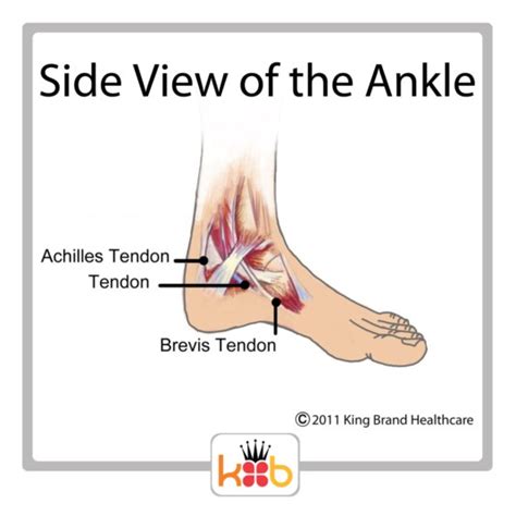 Ankle Extensor Tendonitis Treatment