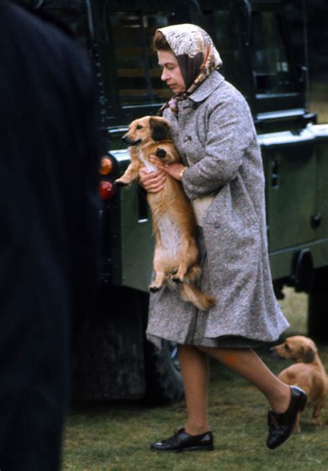 90 Years of Queen Elizabeth Looking Lovingly at Corgis - Racked