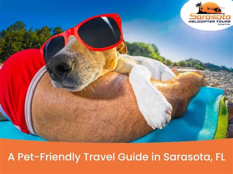 A Pet-Friendly Travel Guide in Sarasota, FL - Sarasota Helicopter